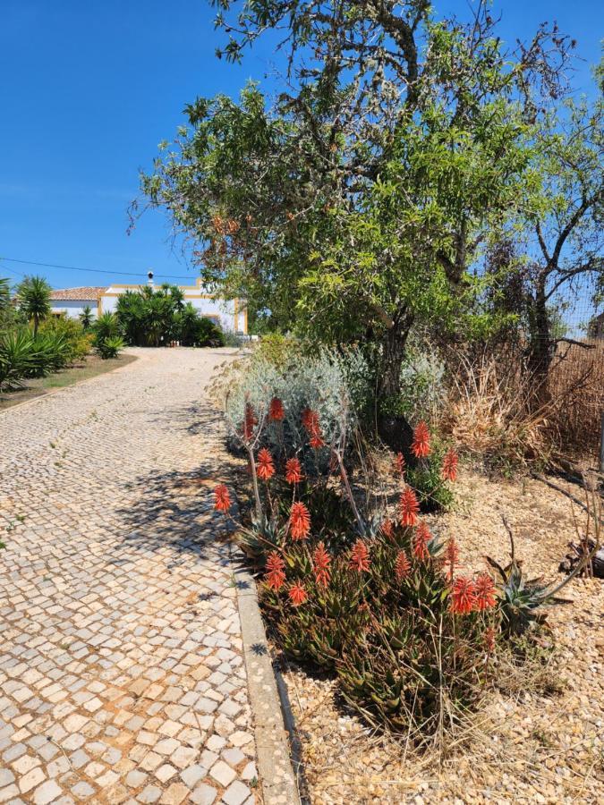 Quinta Das Amendoas Carvoeiro  Eksteriør billede